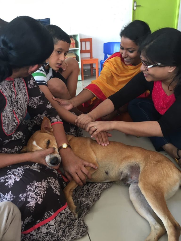 Three legged therapy dog Lucy visited us