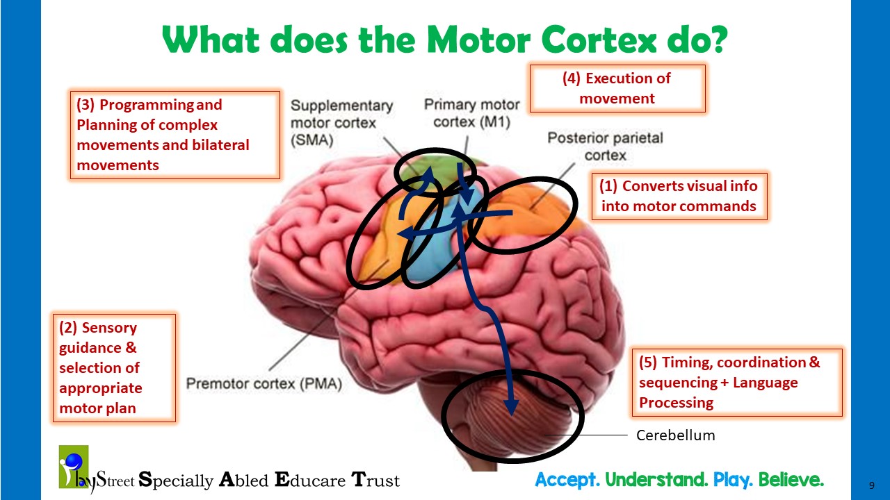 Movement Based Interventions Playstreet